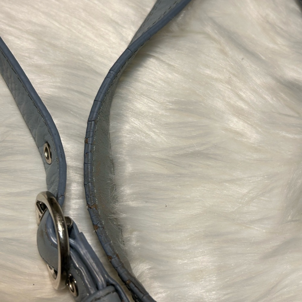 Coach Sky Blue Zoe Hobo Bag - Picture 9 of 16